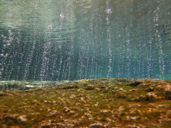Nascente de água em Ginnie Springs, na Flórida, nos Estados Unidos